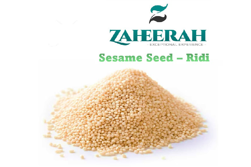 Sesame Seed - Ridi (100kg/bag)